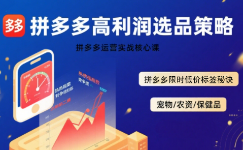久号老师·拼多多选品暴利技术实战课-副业项目资源网