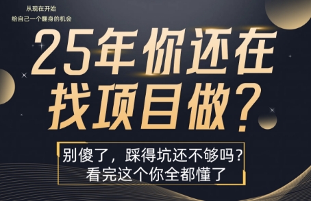 25年，你还在疯狂的找项目吗？别傻了，看完这个你都懂了【揭秘】-副业项目资源网