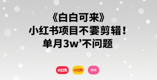 小白可来 小红书项目不需要剪辑 单月3w不是问题-副业项目资源网