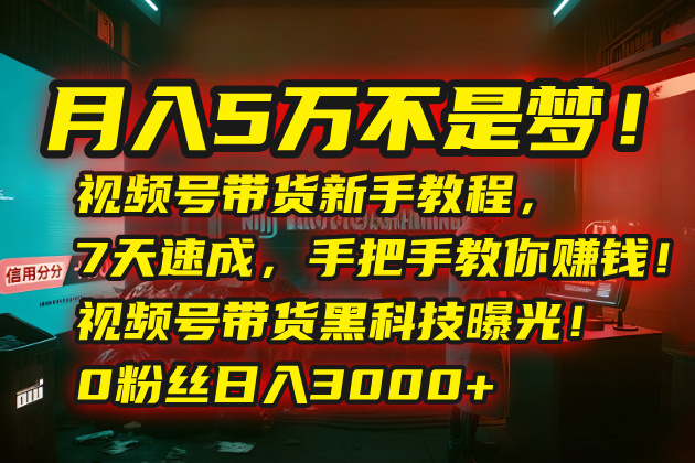 月入5万不是梦！视频号带货新手教程，7天速成，手把手教你赚钱！视频号…-副业项目资源网