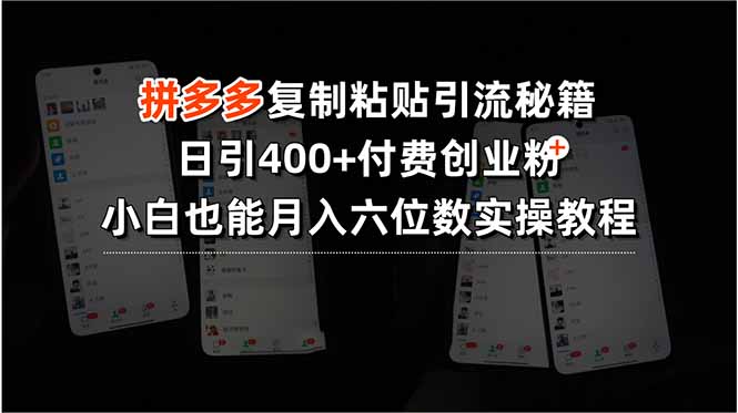 拼多多复制粘贴引流秘籍，日引400+付费创业粉，小白也能月入六位数实操…-副业项目资源网