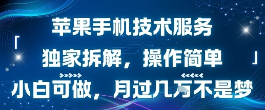 苹果手机技术服务，独家拆解，操作简单，小白可做，月过1W不是梦-副业项目资源网