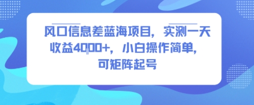 风口信息差蓝海项目，实测一天收益4k+，小白操作简单，可矩阵起号-副业项目资源网