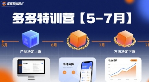 多多特训营【5-7月】产品决定上限，方法决定下限，各种玩法技巧落地实操-副业项目资源网