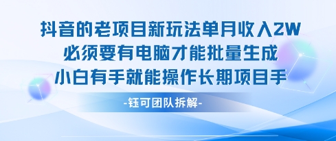 老项目新玩法单月收入2W小白有手就能操作长期项目-副业项目资源网