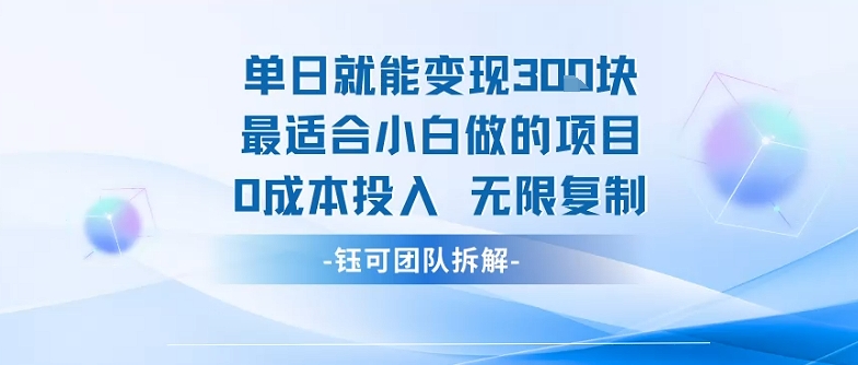 单日就能变现3张最适合小白做的项目0成本投入 无限复制-副业项目资源网