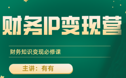 有有老师·财务IP变现营，财务知识变现必修课-副业项目资源网