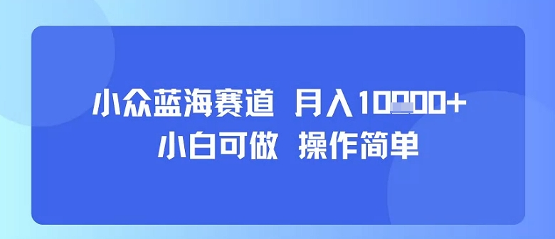 小众蓝海赛道，小白可做，操作简单，每天30分钟，月入1W+-副业项目资源网