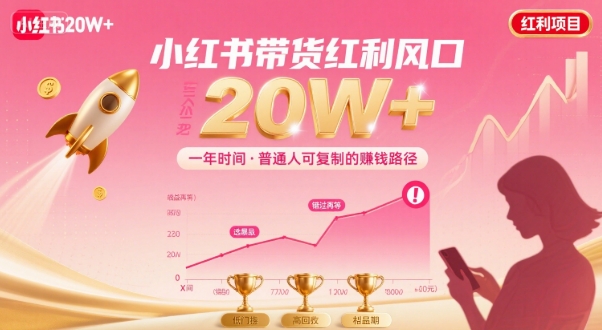 一年时间靠小红书带货项目年入20w+，最不能错的大红利项目-副业项目资源网