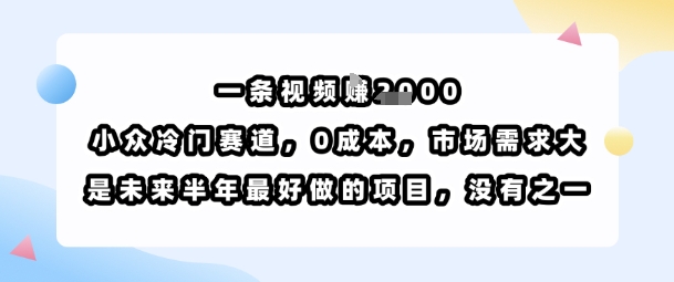 一条视频挣1k，小众冷门赛道，0成本，市场需求大，是未来半年最好做的项目，没有之一-副业项目资源网