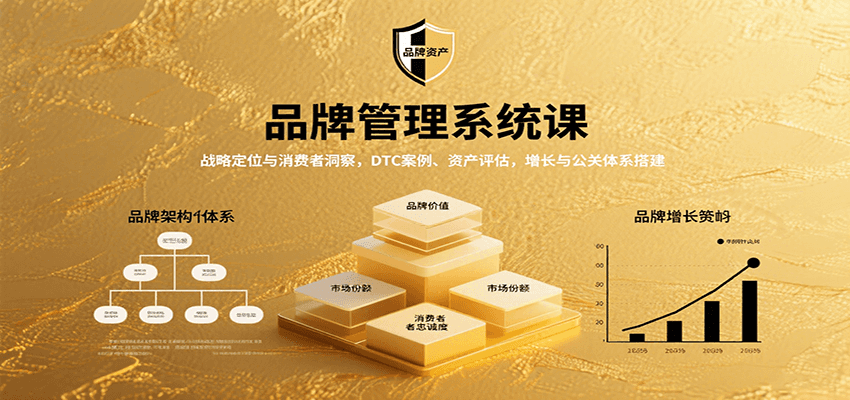 品牌管理系统课：战略定位与消费者洞察，DTC案例、资产评估，增长与公关体系搭建-副业项目资源网