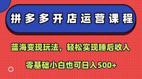 拼多多开店运营课程：蓝海变现玩法，轻松实现睡后收入，零基础小白也可日入5张-副业项目资源网