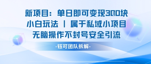 新项目单日即可变现3张的小白玩法无脑操作不封号安全引流-副业项目资源网