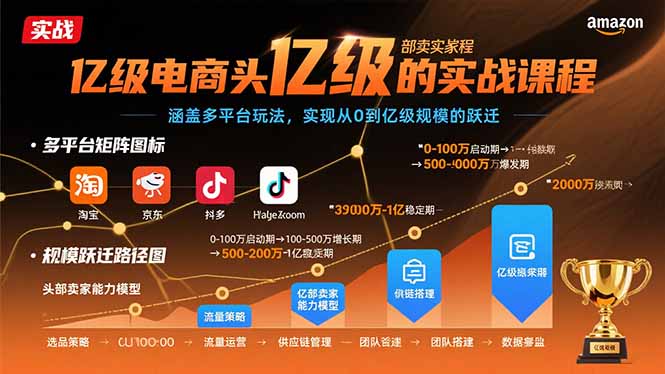 亿级电商头部卖家的实战课程：涵盖多平台玩法，实现从0到亿级规模的跃迁-副业项目资源网