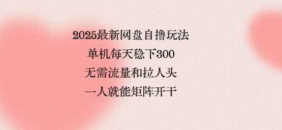 2025最新网盘自撸玩法，单机每天稳下3张，无需流量和拉人头，一个人就可轻松矩阵，全网独一份【揭秘】-副业项目资源网