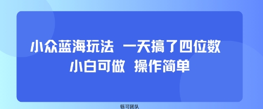 小众蓝海玩法 一天搞了四位数 小白可做 操作简单-副业项目资源网