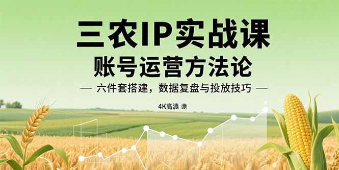 三农IP实战课：账号运营方法论，六件套搭建，数据复盘与投放技巧-副业项目资源网