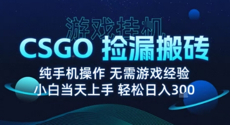 8月最新游戏搬砖，CSGO纯挂G，不需要玩游戏，实现真挂G，月入1W+【揭秘】-副业项目资源网