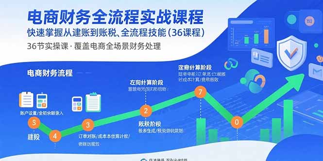 电商财务全流程实战课程：快速掌握从建账到报税的全流程技能(36节课-副业项目资源网