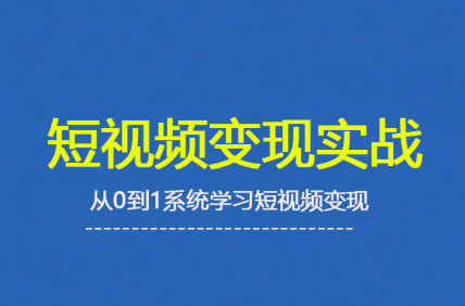 杨磊老师·2025短视频变现实战课-副业项目资源网