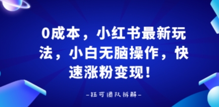 0成本，小红书最新玩法，小白无脑操作，快速涨粉变现-副业项目资源网