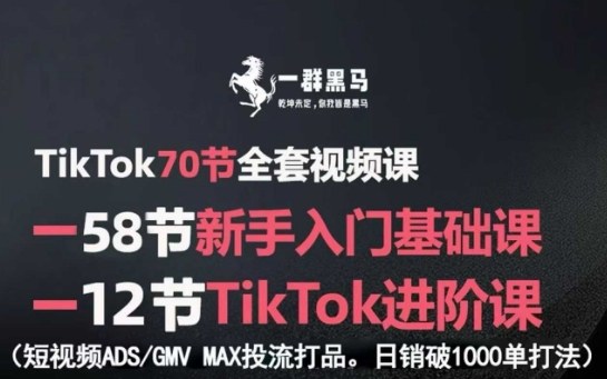TikTok全套视频课，新手入门+进阶课，短视频ADS-GMV MAX投流打品，日销破1000单打法-副业项目资源网