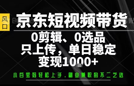 你出账号，我来运营，保底日入1k+，开启躺賺模式【揭秘】-副业项目资源网
