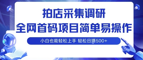 拍店采集调研，全网首码项目，简单易操作， 小白也能轻松上手，多账号操作，轻松日入5张【揭秘】-副业项目资源网