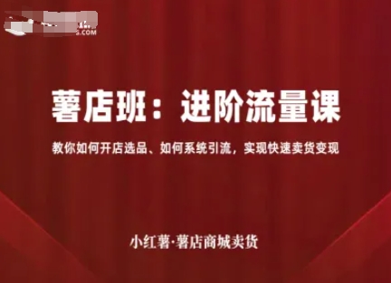小红薯薯店商城卖货，进阶流量课，教你如何开店选品、如何系统引流，实现快速卖货变现-副业项目资源网