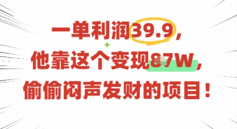 一单利润39.9，有人靠这个变现几十个，偷偷闷声发财的项目-副业项目资源网