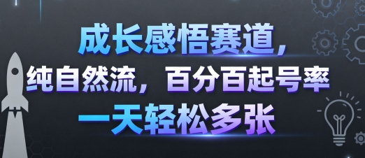 成长感悟赛道,纯自然流,百分百起号率 一天轻松多张-副业项目资源网