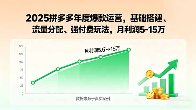 2025拼多多年度爆款运营，基础搭建、流量分配、强付费玩法，月利润5-15万-副业项目资源网