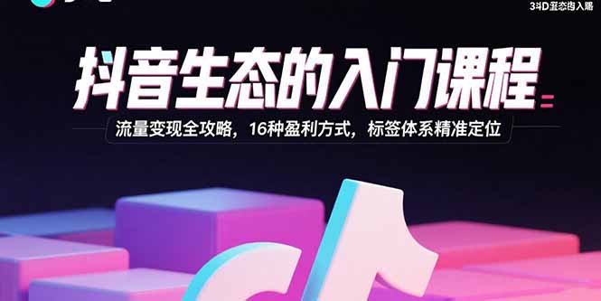 抖音生态的入门课程：流量变现全攻略，16种盈利方式，标签体系精准定位-副业项目资源网