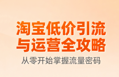 淘宝低价引流与运营全攻略(更新9月)-副业项目资源网
