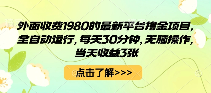 外面收费1980的最新平台撸金项目，全自动运行，每天30分钟，无脑操作，当天收益3张【揭秘】-副业项目资源网