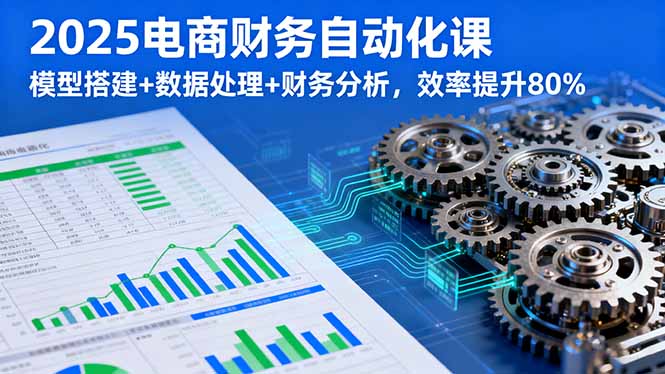 2025电商财务自动化课，模型搭建+数据处理+财务分析，效率提升80%-副业项目资源网