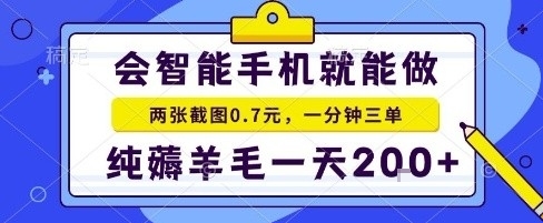 手机项目,二十秒一单,纯薅羊毛一天2张+做就有【揭秘】-副业项目资源网