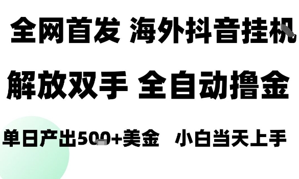 海外抖音无人直播，单日产出1.5k+，长期稳定，新手可玩，无脑操作【揭秘】-副业项目资源网