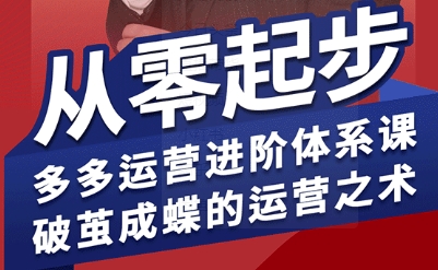 拼多多运营进阶系统课，从零起步，多多运营进阶体系课，破茧成蝶的运营之术(更新9月)-副业项目资源网