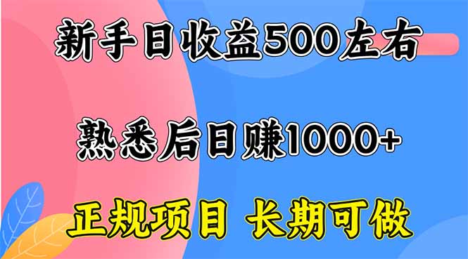 新手日收益500+ 正规项目 长期可做-副业项目资源网