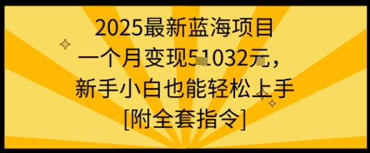 2025最新蓝海项目一个月变现1w+新手小白也能轻松上手【附全套指令】-副业项目资源网