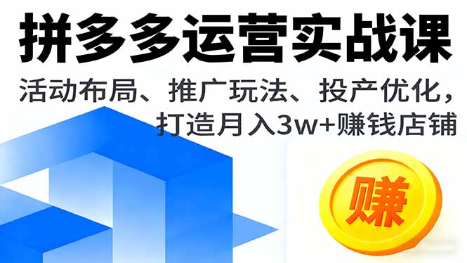 拼多多运营实战课，活动布局、推广玩法、投产优化，打造月入3w+赚钱店铺-副业项目资源网