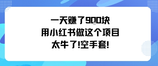 一天挣了9张用小红书做这个项目太牛了，空手套-副业项目资源网