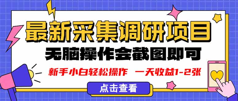 新版采集调研项目，截图上传即可，无脑操作，日收益1-2张-副业项目资源网