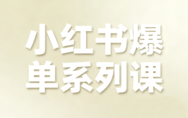 尼采老师·小红书爆单系列课-副业项目资源网