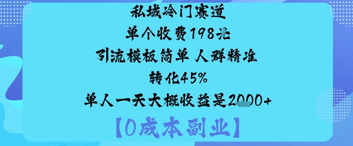 私域冷门赛道:单个收费198米引流模板简单人群精准转化45%单人一天大概收益是1k+-副业项目资源网