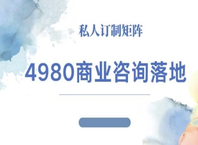 4980商业咨询师落地课程-ip运营高客单教程-副业项目资源网