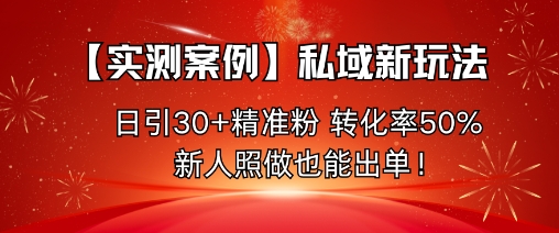 【实测案例】私域新玩法,日引30+精准粉,转化率50%,新人照做也能出单!-副业项目资源网
