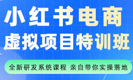 陆明明·小红书虚拟项目特训班(更新9月)-副业项目资源网
