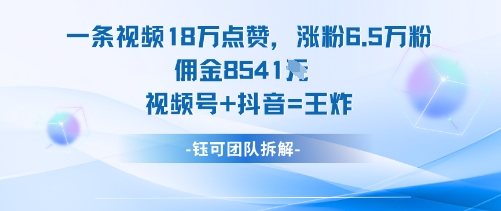 一条视频18W点赞,涨粉6.5W粉佣金8541米,视频号+抖音=王炸-副业项目资源网